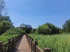 -溱湖国家湿地公园