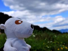 -白草畔自然风景区