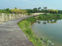 -东郊湿地公园