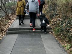 -上海佘山国家森林公园西佘山园