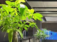 -人间酒暖·Go blanc·烧鸟·深夜食堂(陆家嘴店)