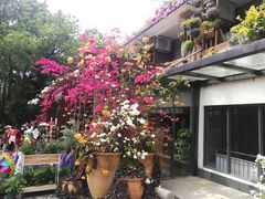 -深圳仙湖植物园