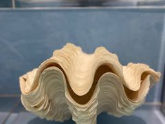 -浙江自然博物院(杭州馆)