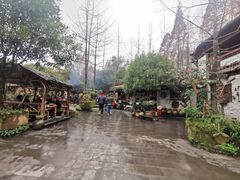 -青城甲(青城山店)