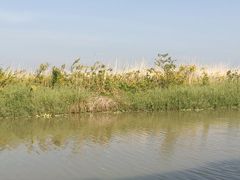 -漩门湾国家湿地公园