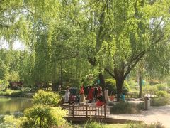 -郑州植物园