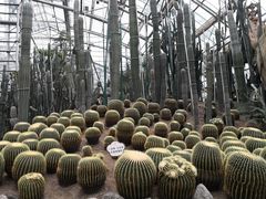 -南山植物园