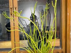 -朵朵开素食餐厅(后宰门街店)