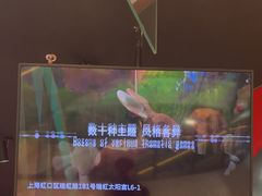 -Xcape异时刻密室逃脱魔法互动(瑞虹天地太阳宫店)