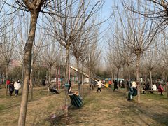 -遇见世外桃源教育农场