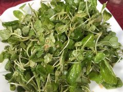 -漕河全驴宴饭店(徐水店)