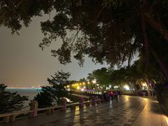 -深圳湾公园(南山区)