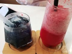 -喵园·猫主题咖啡厅·撸猫·猫咖(国贸店)