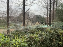 -茅庐·川粤精品私房菜(金沙遗址店)