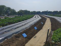 -上膳源有机农场