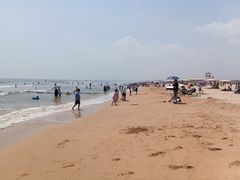 -日照海滨国家森林公园