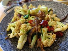 -陈麻婆豆腐总店