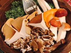 菌菇六拼-三出山火锅(万象天地店)