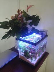 -谜秀专业半永久纹眉纹绣美瞳线洗眉