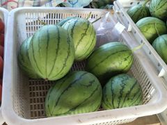 -北戴河集发农业梦想王国