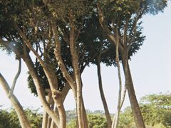 -柯达真美(老重庆中路店)