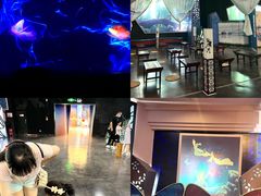 -郑州方特梦幻王国