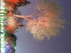 -怡咖啡·自助餐·西安香格里拉