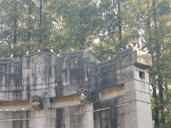 -灵谷景区
