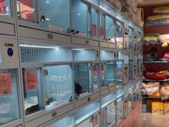 -FAELING PETS美天灵宠物(合生汇店)