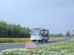 -良渚古城遗址公园