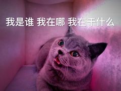 -宠颐生东兴动物医院(大悦城店)