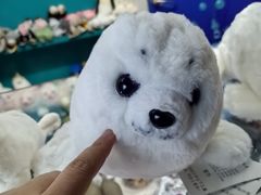 -上海海洋水族馆