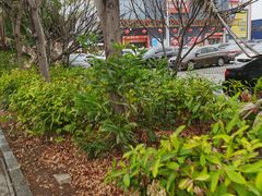-麦德龙(南山店)