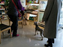 -我爱吾宠宠物美容院(朝阳路店)