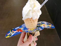 -野人先生现做冰淇淋(北京顺义祥云小镇店)