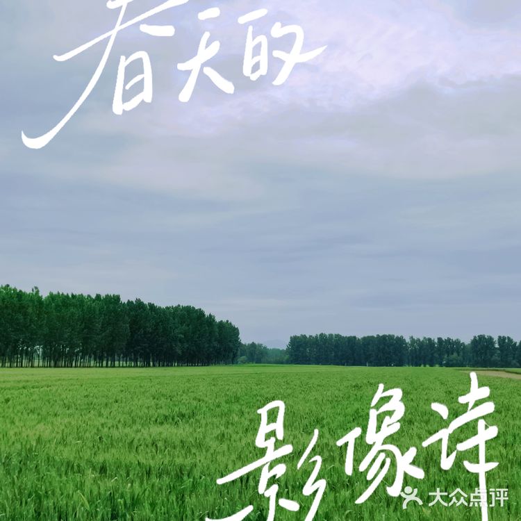 【果然，我最喜欢的还是北方这昏黄色的路灯。】