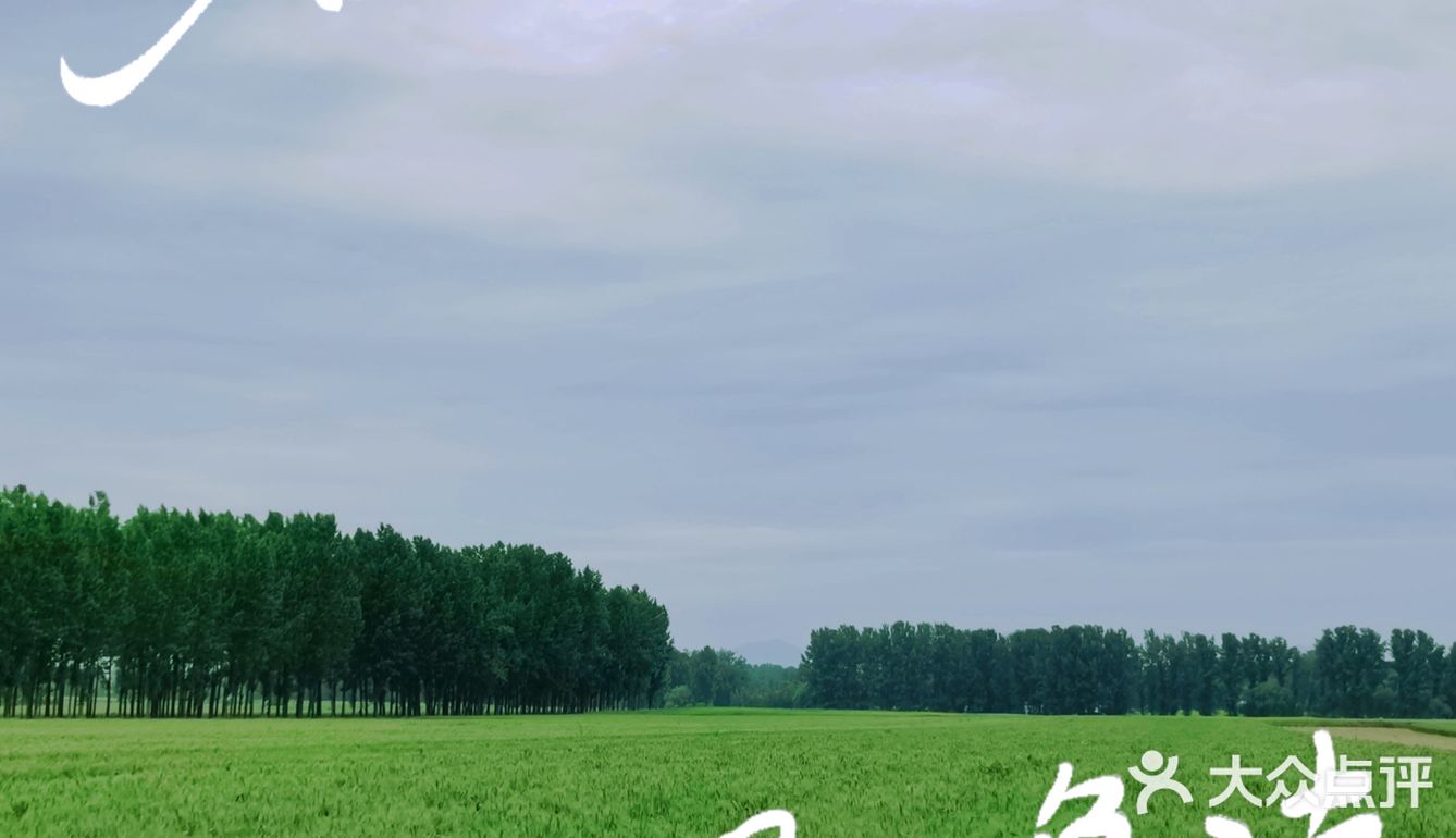 【果然，我最喜欢的还是北方这昏黄色的路灯。】