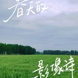 【果然，我最喜欢的还是北方这昏黄色的路灯。】