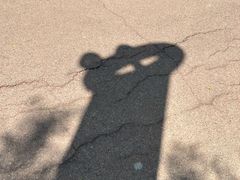 -白鹭湾湿地公园