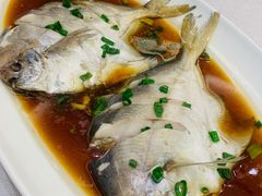 -苏启渔港(云南北路店)