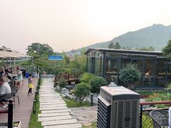 -蘇河湾·新鲁菜·泰山宴(泰山店)