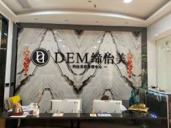 -DEM缔怡美科技美容