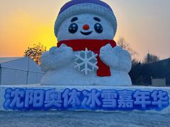 -沈阳奥体冰雪嘉年华