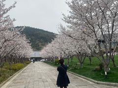 -人民广场-地下停车场