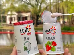 -上海共青森林公园