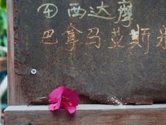 -豆舞咖啡(民乐路店)