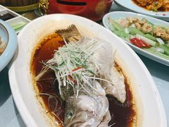 清蒸鲈鱼-万荣烤鸭店·北京菜(天坛店)