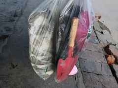 -日照灯塔风景区