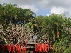 -海南文笔峰盘古文化旅游区