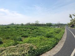 -良渚古城遗址公园